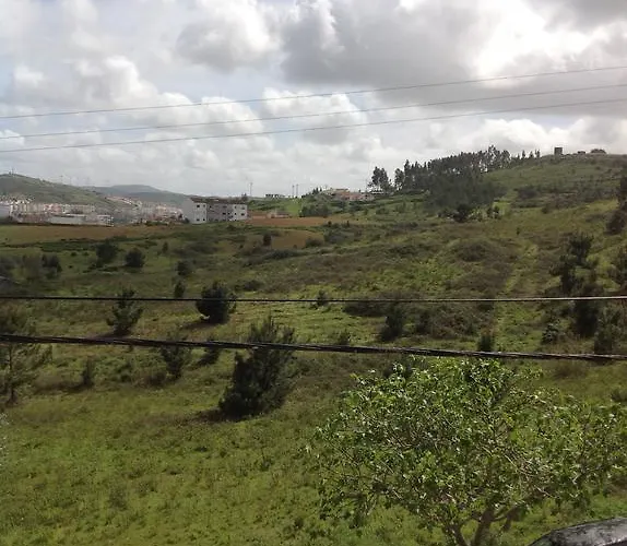 Lines Of Wellignton * 托里什韦德拉什