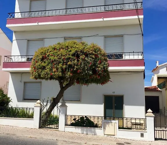 Lines Of Wellignton * 托里什韦德拉什